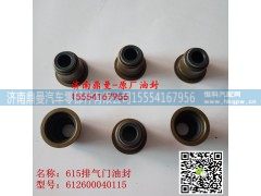 612600040115,潍柴气门油封,济南鼎曼汽车零部件有限公司