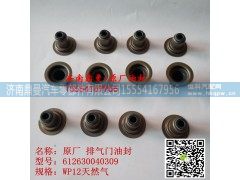 612630040309,潍柴发动机气门油封天然气,济南鼎曼汽车零部件有限公司