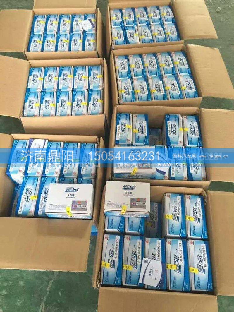612600192176,火花塞,济南鼎阳汽车配件有限公司