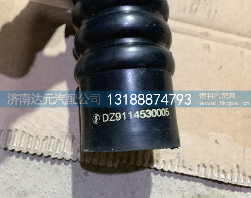 DZ9114530005,陕汽德龙F2000下水管,济南达元汽配公司