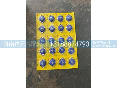 ,STR膨胀水箱盖 （不锈钢）,济南达元汽配公司