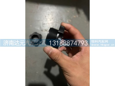 1000106562,加机油口盖（WP13）,济南达元汽配公司