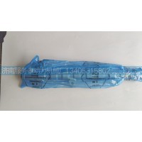 共轨管 13074636