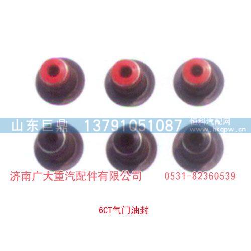 6CT气门油封