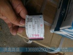 201V95800-6099,惰轮,济南高盛重汽配件销售公司