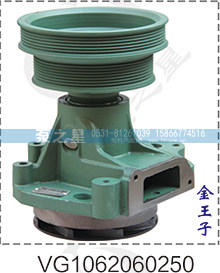 重汽金王子水泵总成VG1062060250/VG1062060250