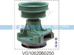 VG1062060250,水泵总成,山东泵之星动力有限公司