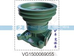 VG1500069055,水泵总成,山东泵之星动力有限公司