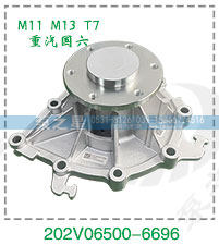 202V06500-6696,M11 M13 T7重汽国六泵头,山东泵之星动力有限公司