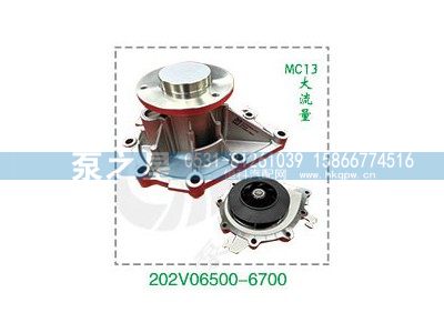 202V06500-6700,重汽曼泵头,山东泵之星动力有限公司