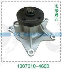 1307010-4600,龙擎国六水泵泵头,山东泵之星动力有限公司