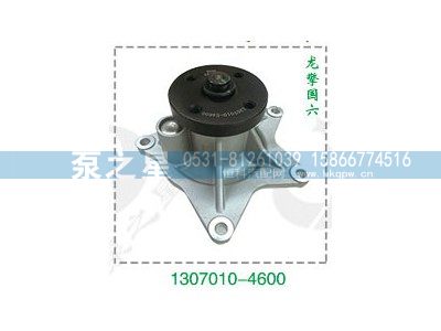 1307010-4600,龙擎国六水泵泵头,山东泵之星动力有限公司