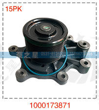 1000173871,15PK原厂泵头,山东泵之星动力有限公司