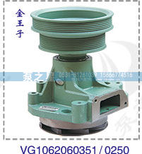 VG1062060250,水泵总成,山东泵之星动力有限公司