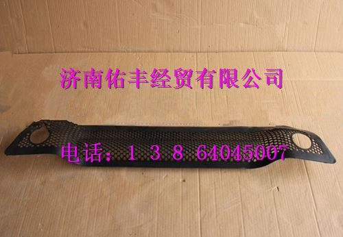 重汽豪沃保险杠格栅WG1642242107
