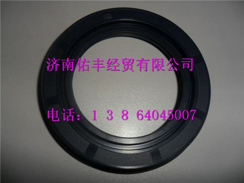 重汽豪沃A7主减油封总成WG9231320001