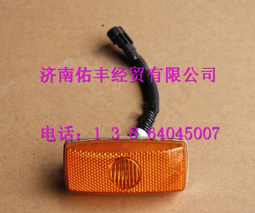 重汽豪沃A7左侧转向灯WG9925720012