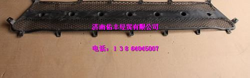 重汽豪沃A7前面罩网WG1664110061