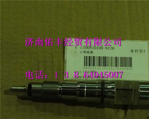 中国重汽MC11发动机喷油器总成200V10100-6126