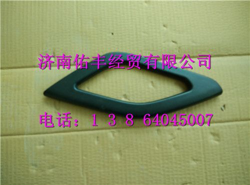 重汽豪沃T5G右门内关门拉手盖板812W62630-7031