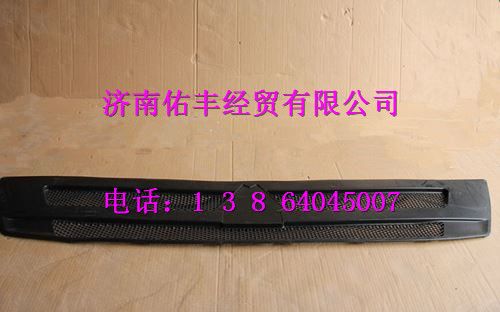 重汽豪沃T5G前面罩装饰网WG1662115016