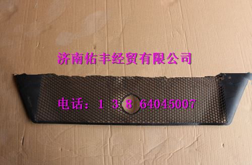 重汽豪沃T5G保险杠装饰网WG1664245002