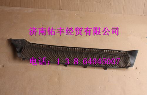 重汽豪沃T7H保险杠装饰网WG1664242009