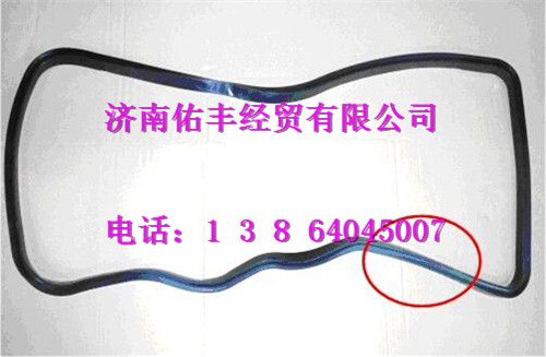 重汽曼MC07密封垫080V05904-0195