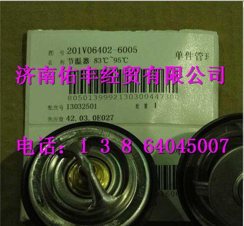 重汽曼MC07节温器芯201V06402-6005
