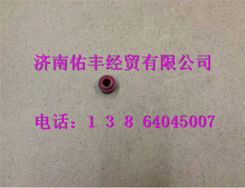 重汽曼MC07气门杆密封套080V04902-0034