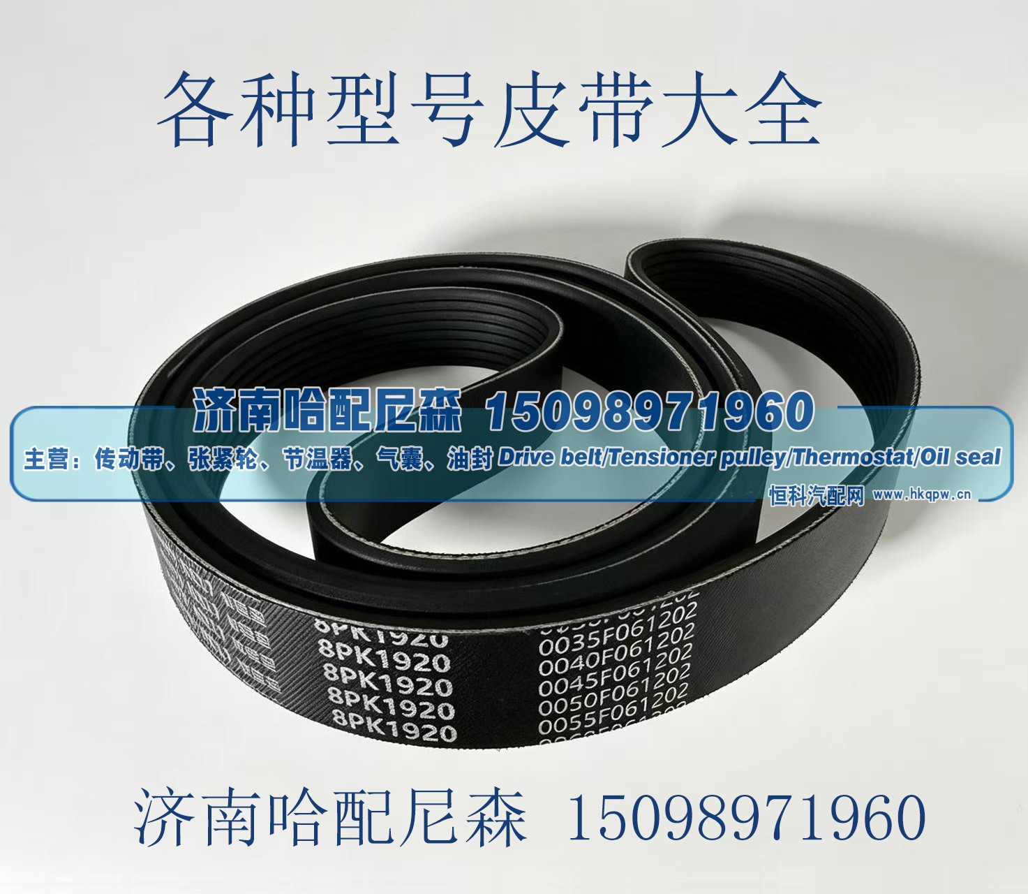 皮带 1000105887