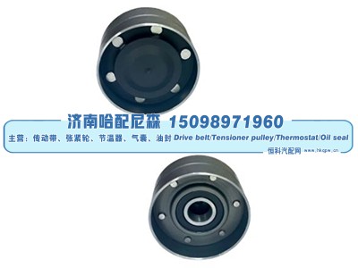 AL116368,惰轮,济南哈配尼森汽车配件有限公司