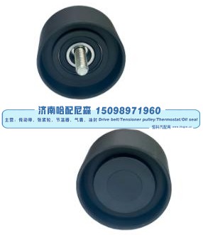 惰轮 AL157593