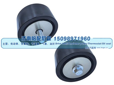 AXE21096,惰轮,济南哈配尼森汽车配件有限公司