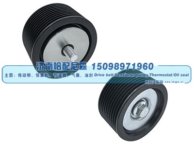 AXE21206,惰轮,济南哈配尼森汽车配件有限公司