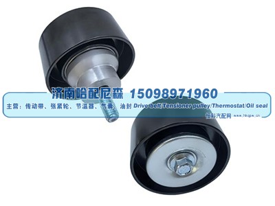 21872220,惰轮,济南哈配尼森汽车配件有限公司