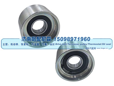3979746,惰轮,济南哈配尼森汽车配件有限公司