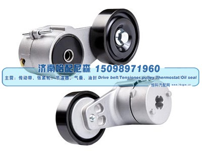 5010412957,涨紧轮 张紧轮,济南哈配尼森汽车配件有限公司