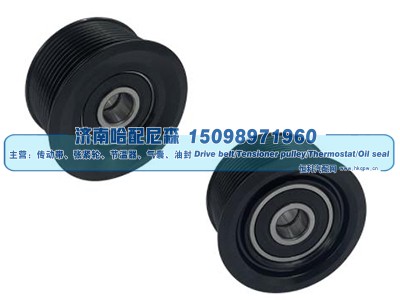 7422923707,惰轮,济南哈配尼森汽车配件有限公司