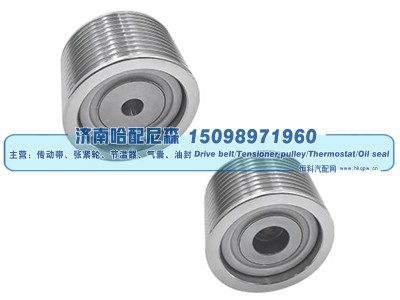7421454548,惰轮,济南哈配尼森汽车配件有限公司