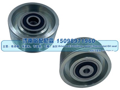 4572001170,惰轮,济南哈配尼森汽车配件有限公司