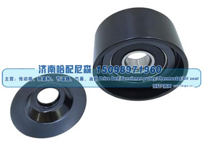4572001070,惰轮,济南哈配尼森汽车配件有限公司