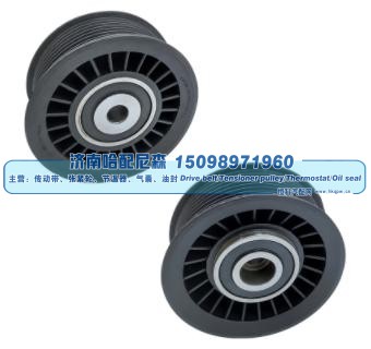 惰轮 5500633