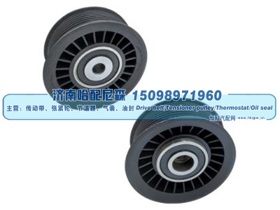 5500633,惰轮,济南哈配尼森汽车配件有限公司