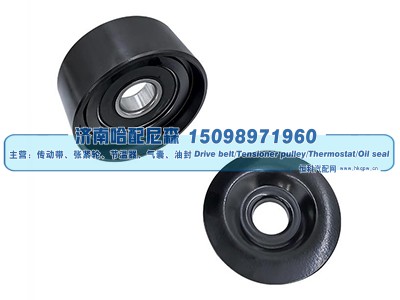 51958006079,惰轮,济南哈配尼森汽车配件有限公司