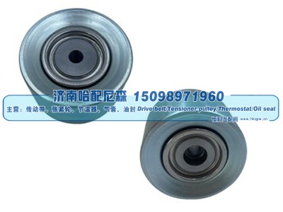 51958006096,惰轮,济南哈配尼森汽车配件有限公司