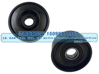 51958006075,惰轮,济南哈配尼森汽车配件有限公司