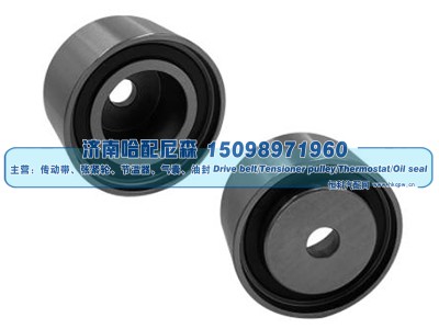 51958007485,惰轮,济南哈配尼森汽车配件有限公司