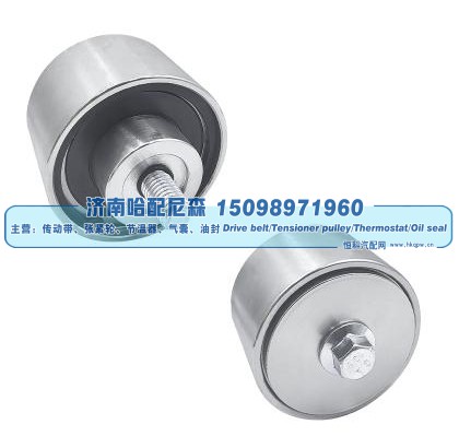 惰轮 500318393