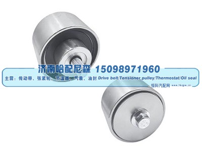 500318393,惰轮,济南哈配尼森汽车配件有限公司